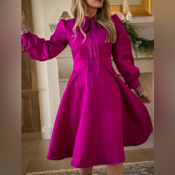 Ivy City Dresses & Skirts - Ivy City& Co Pippa Dress Size XS